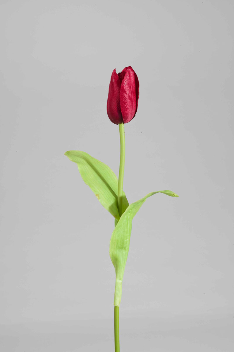 Tulpe, rot, 42cm