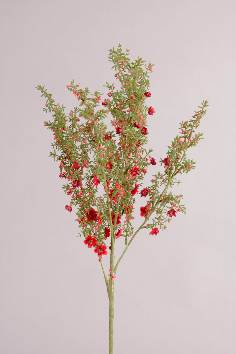 Wax Flower, rot, 69cm