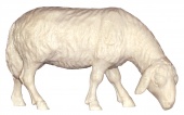 Schaf grasend rechts 9cm natur